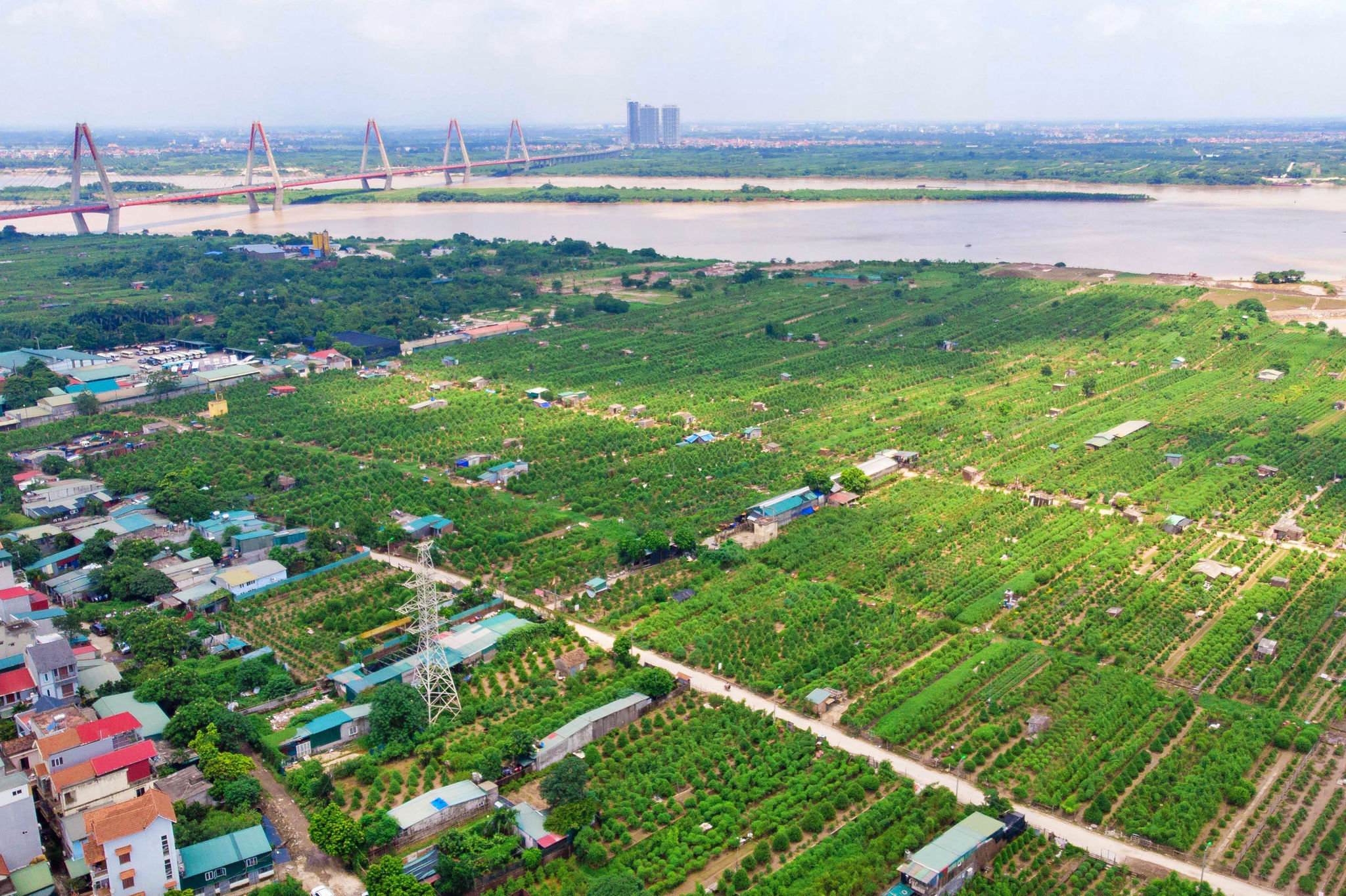 bo-tai-chinh-de-xuat-danh-thue-dat-bo-hoang-0-2-%